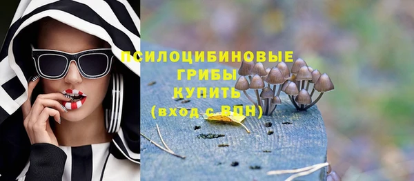 прущие грибы Баксан