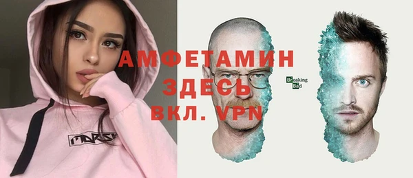 прущие грибы Баксан