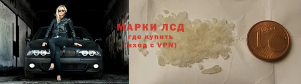 прущие грибы Баксан