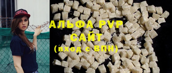 прущие грибы Баксан