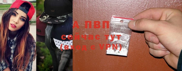 прущие грибы Баксан