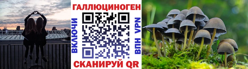 Псилоцибиновые грибы MAGIC MUSHROOMS Ладушкин